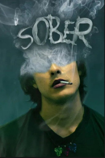 Sober movie poster