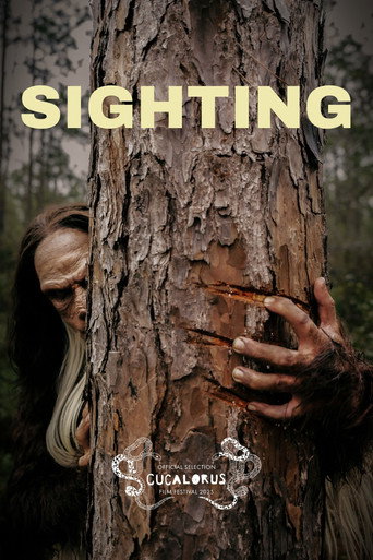 Sighting movie poster