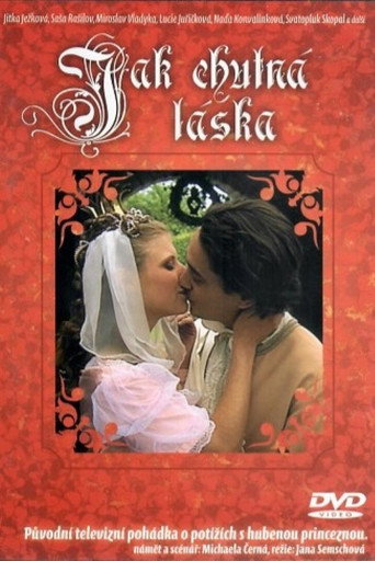 Jak chutná láska movie poster