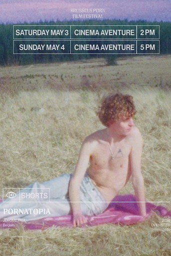 PornAtopia movie poster