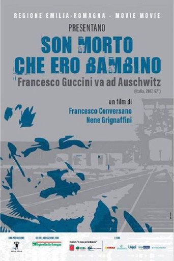 Son morto che ero bambino - Francesco Guccini va ad Auschwitz movie poster