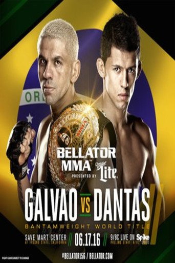 Bellator 156:  Galvao vs. Dantas 2 movie poster
