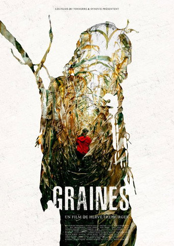 Graines movie poster