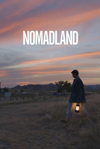 Nomadland movie poster