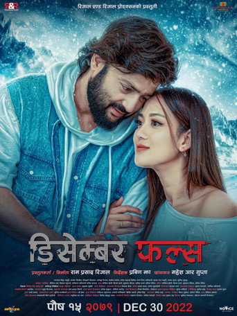 December Falls movie poster