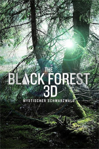 The Black Forest - Mystischer Schwarzwald movie poster