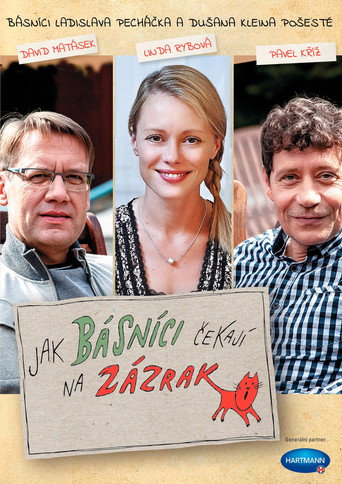 Jak básníci čekají na zázrak movie poster