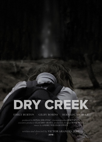Dry Creek movie poster