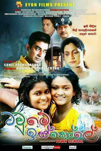 Town School movie poster