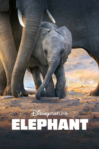 Elephant movie poster