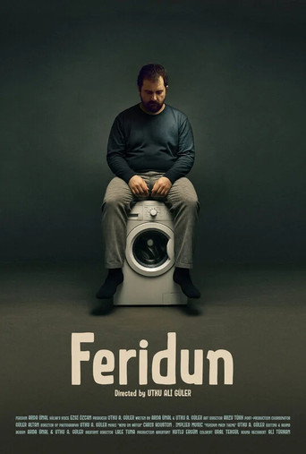 Feridun movie poster