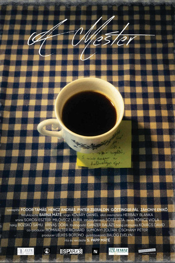 A mester movie poster