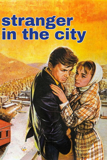 The Stranger in Town movie poster