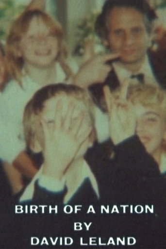 Birth of a Nation movie poster