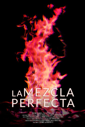 La mezcla perfecta movie poster
