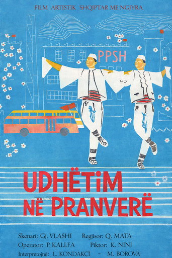 A Trip in Spring movie poster