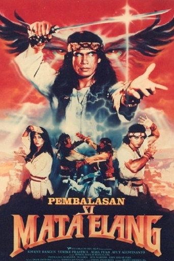 Vengeance of the Eagle Eye movie poster