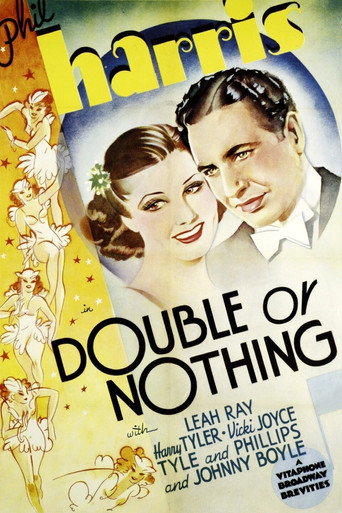 Double or Nothing movie poster