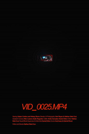 VID_0025.MP4 movie poster