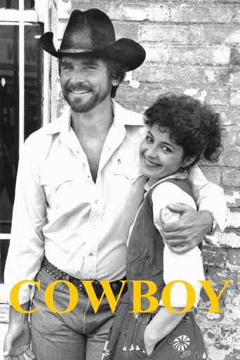 Cowboy movie poster
