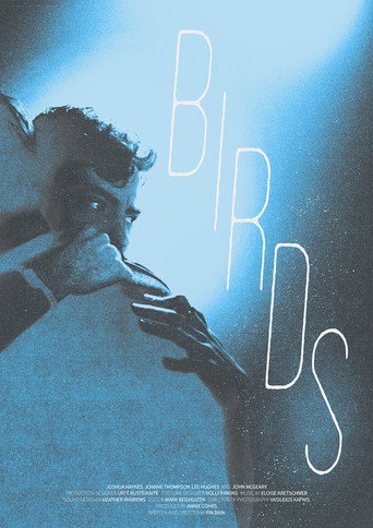 Birds movie poster