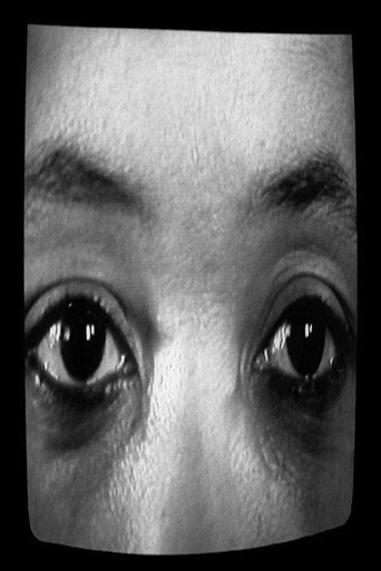 Creating a Different Image: Portrait of Alile Sharon Larkin movie poster