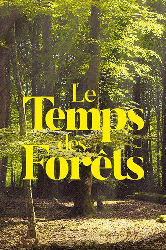 The Time of Forests movie poster