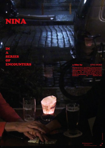 Nina in a Series of Encounters movie poster