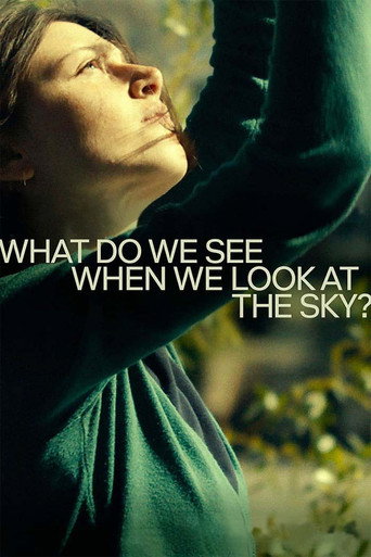 What Do We See When We Look at the Sky? movie poster