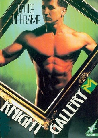 Knight Gallery movie poster