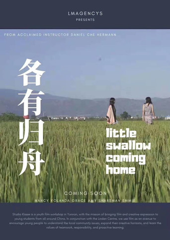 Little Swallow Coming Home movie poster