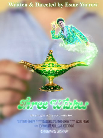 Three Wishes movie poster
