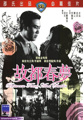 Between Tears and Smiles movie poster