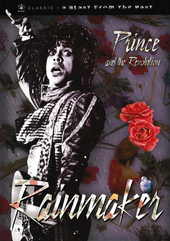 Prince and the Revolution: The Makings Of Rain movie poster