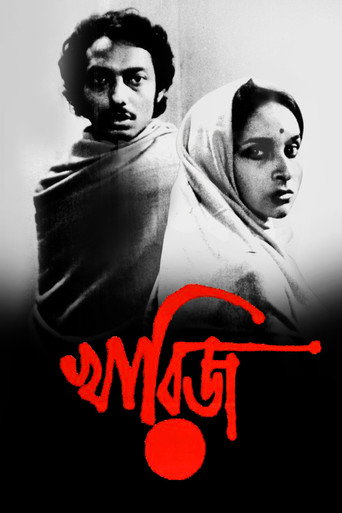 The Case Is Closed movie poster
