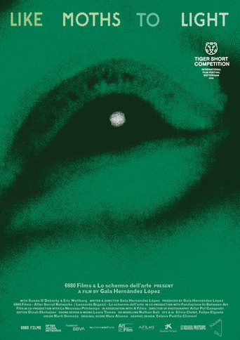 like moths to light movie poster