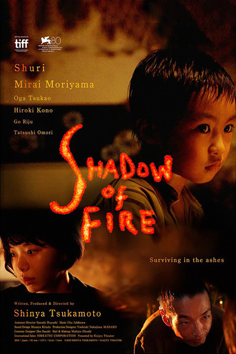 Shadow of Fire movie poster
