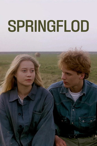 Spring Tide movie poster