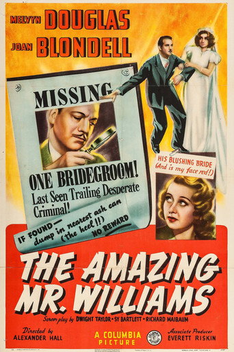 The Amazing Mr. Williams movie poster