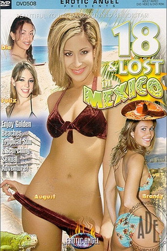 18 and Lost in Mexico movie poster