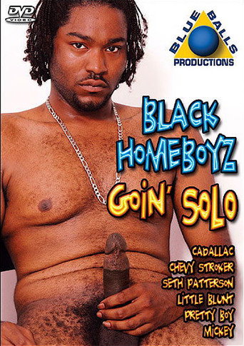 Black Homeboyz Goin Solo movie poster