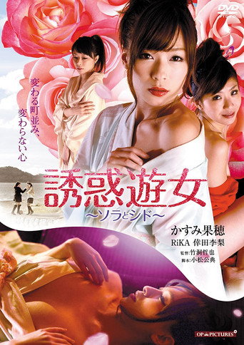 Temptation Prostitute of Sora and Shidod movie poster
