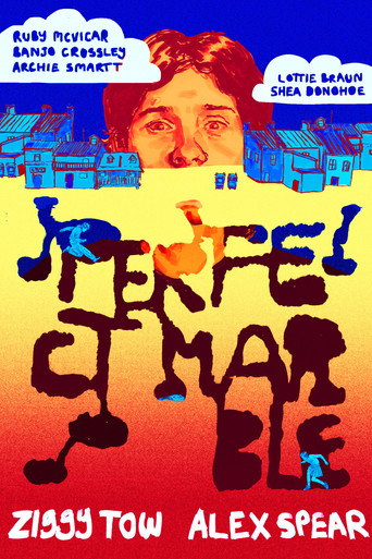 Perfect Marble movie poster