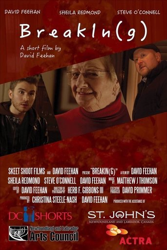 BreakIn(g) movie poster