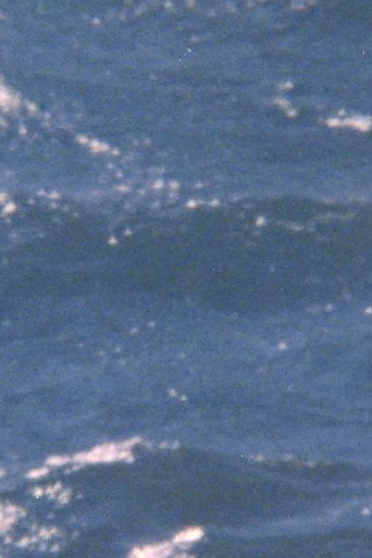 The possibility of being sea movie poster