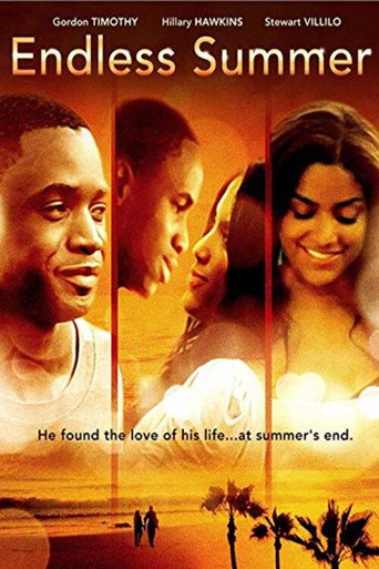 Endless Summer movie poster