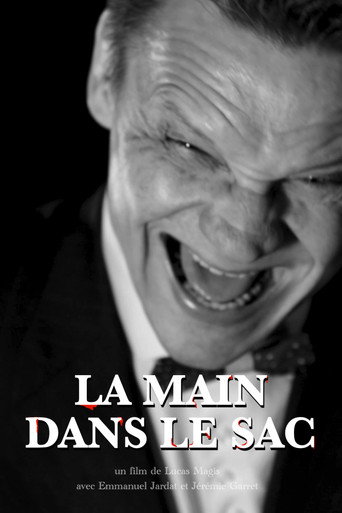La Main dans le sac movie poster