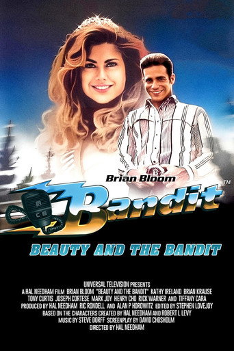 Bandit: Beauty and the Bandit movie poster