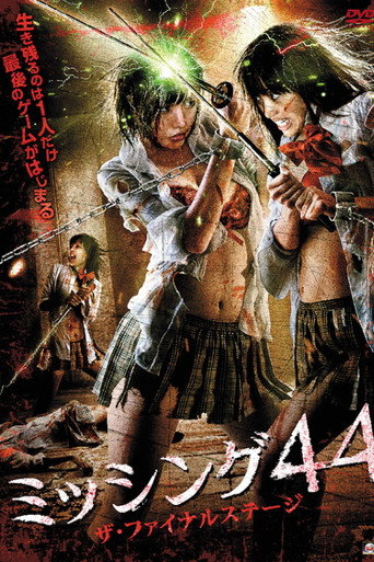 Missing 44 The Final Stage movie poster