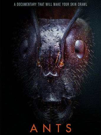 Ants movie poster